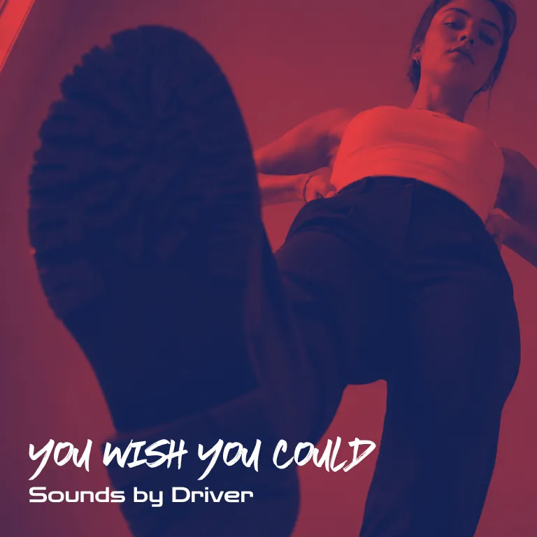 You Wish You Could — cover art